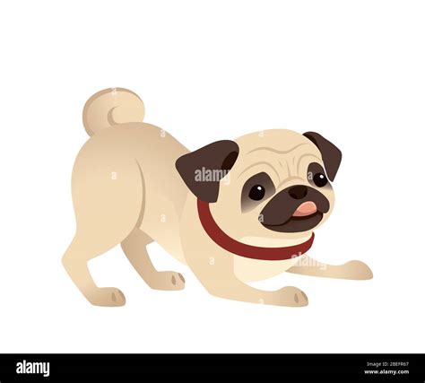 Cute Small Friendly Pug Dog Cartoon Domestic Animal Design Flat Vector