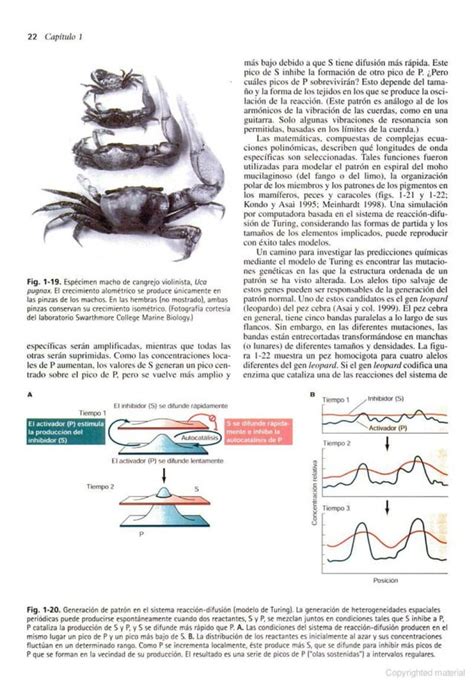 Biología del Desarrollo Gilbert 7a edición pdf