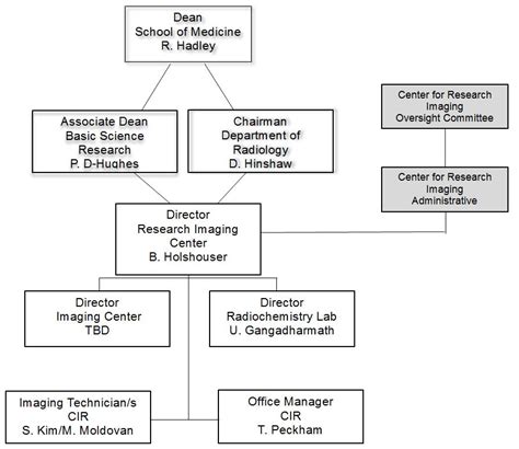 Hospital Laboratory Organizational Chart