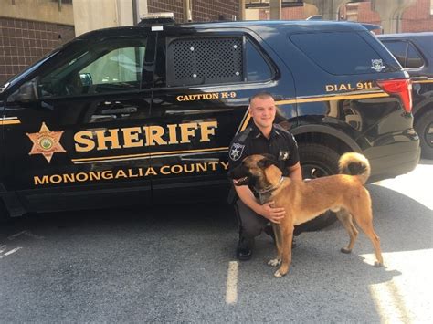 K 9 Officer Retires 2 Recruits Added In Monongalia County Wv Metronews