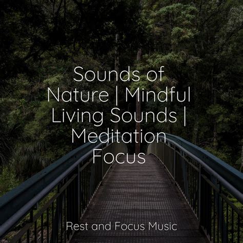 Sounds Of Nature Mindful Living Sounds Meditation Focus Album By