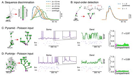 Voltage Match Between Full And Reduced Models For Spatio Temporal