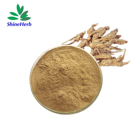 Dong Quai Angelica Root Extract Angelica Sinensis Extract 1 Ligustilide Ligustilide And