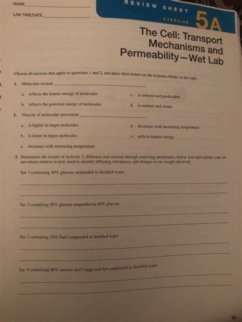 Cell Membrane Transport Mechanisms Review Sheet Exercise Transport