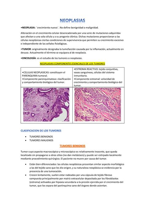 Neoplasias Resumen Patologia Estructural Y Funcional Studocu Hot Sex