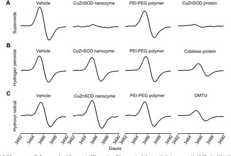 Figure 1 From The Attenuation Of Central Angiotensin Ii Dependent