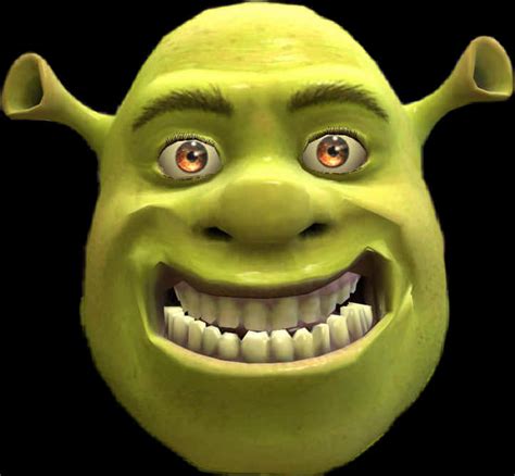 Download Shrek Smiling Close Up | Wallpapers.com