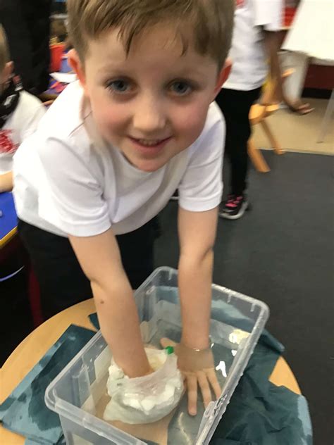 Year 1 Science Blubber Experiment St Teresas Catholic Primary School