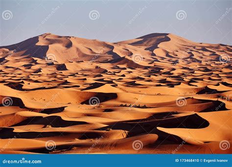 Endless Sands Of The Sahara Desert The Hot Scorching Sun Shines On The