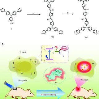 Schematic Illustration Of Liver Cancer Theranostics Based On The