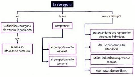 Realiza Un Mapa Conceptual Sobre Los Indicadores Demogr Ficos Brainly Lat