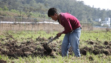 Top 5 Challenges Faced By Northeast India Farmers