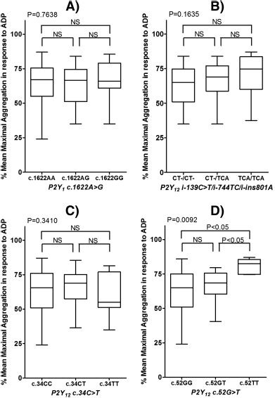 Effect Of P2y1 And P2y12 Genetic Polymorphisms On The Adp Induced