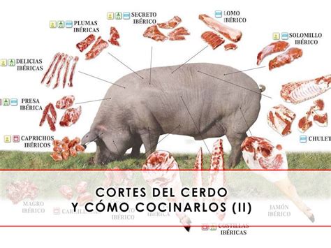 Cortes del cerdo y cómo cocinarlos Parte II Carnicería San Cayo