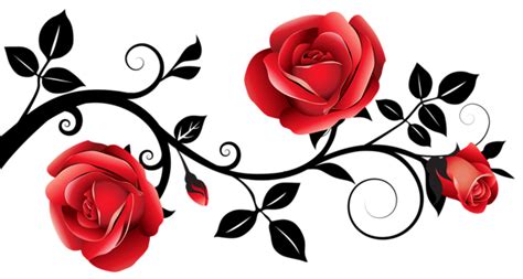 Red And Black Decorative Roses Png Clipart Image Flower Drawing