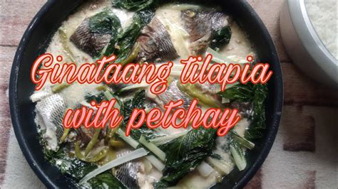 Ginataang Tilapia With Pechay Pinoy Ulam YouTube