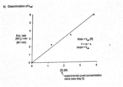 Find Kcat Value Slope From The Graph Attached