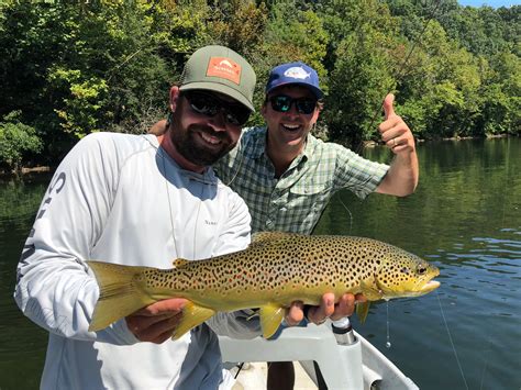 Best Time To Fly Fish The Watauga River Holston River Fishing Guides