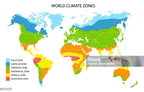 Peta Zona Iklim Dunia Infografis Geografis Vektor Ilustrasi Stok ...