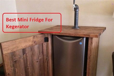 Top 5 Best Mini Fridge For Kegerator In 2023 Tannat Wine And Cheese