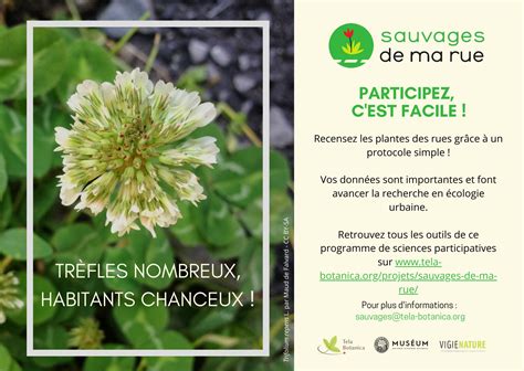 Cette Ann E Le Programme De Sciences Participatives Sauvages De Ma