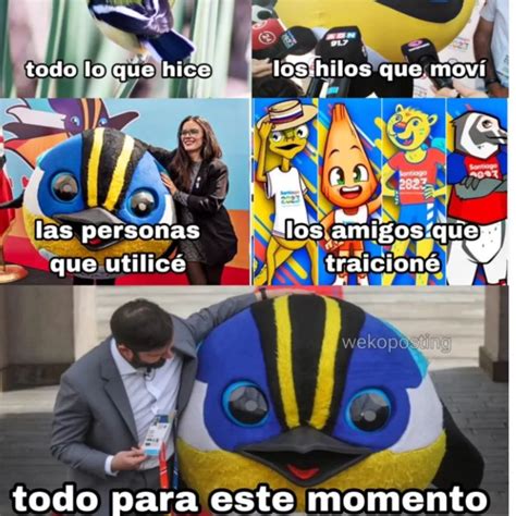 Amamos A Fiu Estos Son Los Mejores Memes Que Ha Dejado El Pájaro