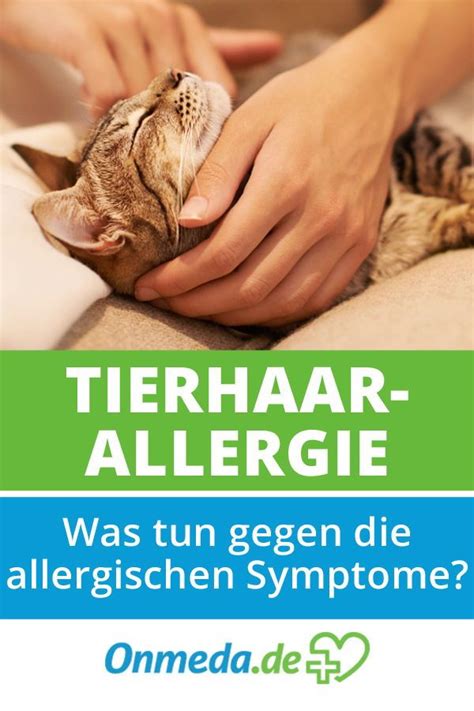 Tierhaarallergie Tierhaarallergie Katzenallergie Allergie