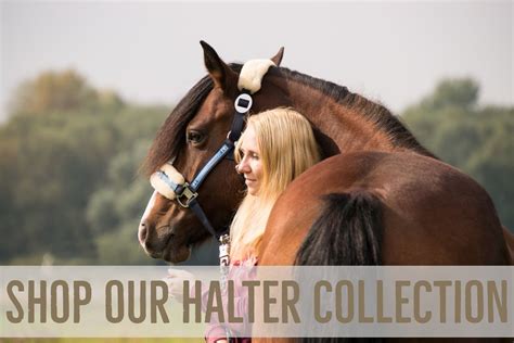 Leather Horse Driving Harness Set 5 Items with Brass Fittings – Tack Wholesale