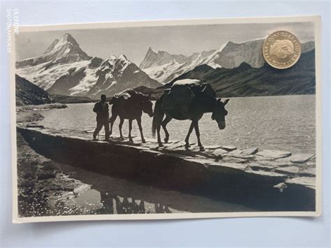 Faulhornpost Am Bachalpsee Pferde 1930 Kaufen Auf Ricardo