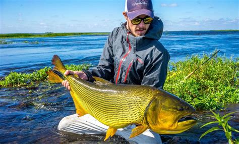 Golden Dorado Fishing Lodges | Fly Fishing Patagonia