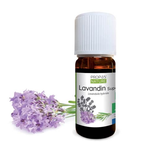 Huile Essentielle Lavandin Super BIO 10 Ml Lavandula Burnati