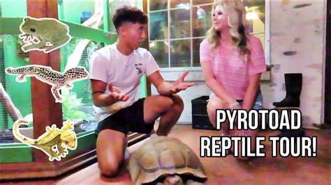 Reptile Room Tour Incredible Youtube