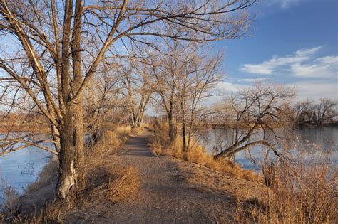 Riverbend Park Walking Trail Virginia Bluebells Stock Image Image Of Potomac Pathway 43494319