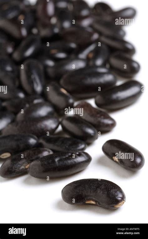 Dried Black Beans On White Background Stock Photo Alamy