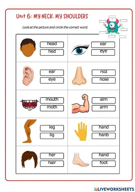 Les Parties Du Corps Humain Interactive Worksheet Live 54 Off