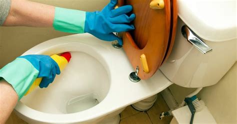 How To Remove Urine Stains From Toilet Seats