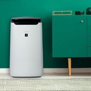 Sharp Plasmacluster Ion Air Purifier And True HEPA For Large Rooms 502