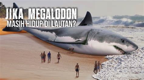 Hiu Terbesar Yang Pernah Hidup Dalam Sejarah Bumi Megalodon YouTube