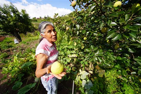 Objetivos De Desarrollo Sostenible 17 Compromisos Alcanzables Para