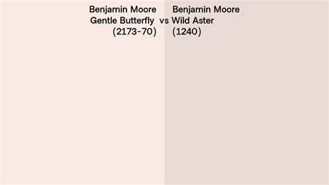 Benjamin Moore Gentle Butterfly Vs Wild Aster Side By Side Comparison