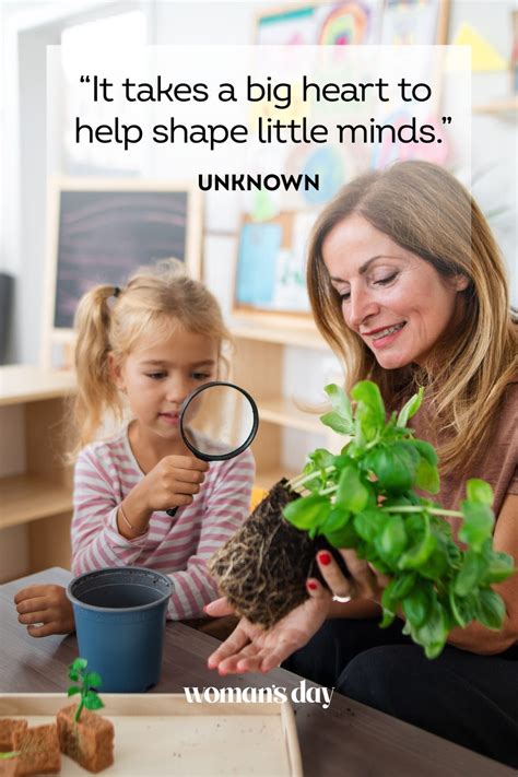 30 Best Teacher Appreciation Quotes For 2024