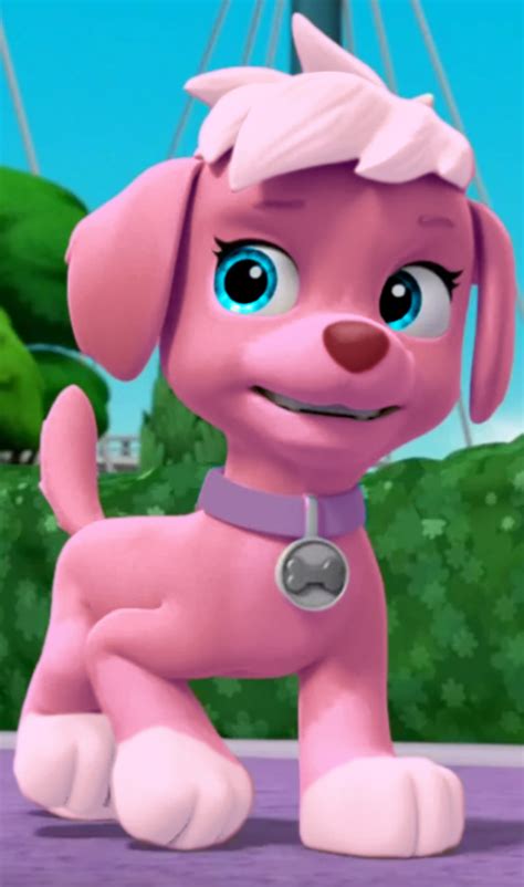 Furcorn Paw Patrol Fanon Wiki Fandom