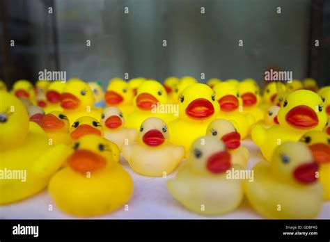 Rubber Duckie Hi Res Stock Photography And Images Alamy