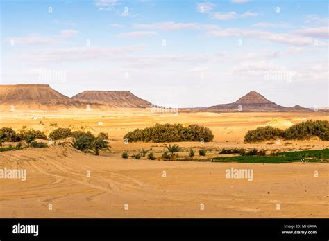 Bahariya Oasis Egypt Stock Photo Alamy