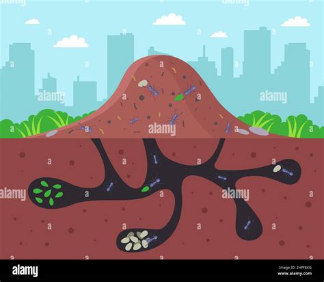 a large anthill with passages underground. flat vector illustration ...