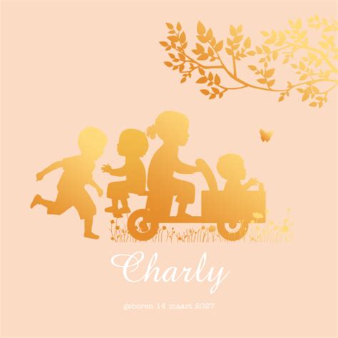 geboortekaartjes voor vierde kindje speciaal voor grote gezinnen