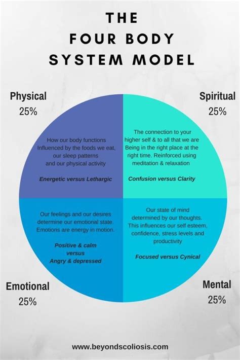 body system model rsmallchangescharts
