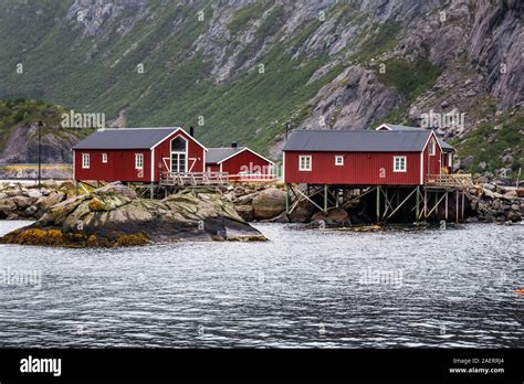 Traditional Red Wooden Houses Rorbuer In The Small Fishing Village Of