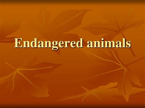 PPT - Endangered animals PowerPoint Presentation, free download - ID ...