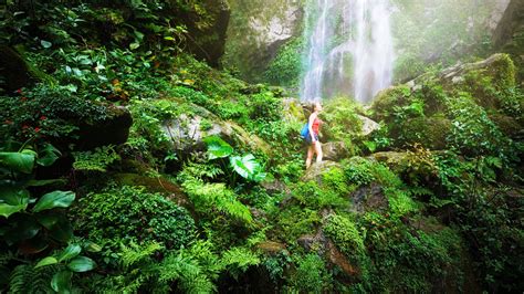 Ecoturismo Que Es Y Cuales Son Sus Ventajas Y Desventajas Ecologia Images